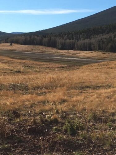 Surviving Drought